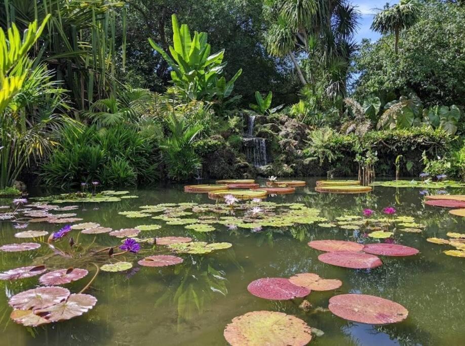 Insta Worthy Oasis Villa Хоумстед Екстериор снимка